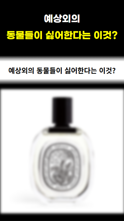 지식 템플릿으로 만든 영상 예시